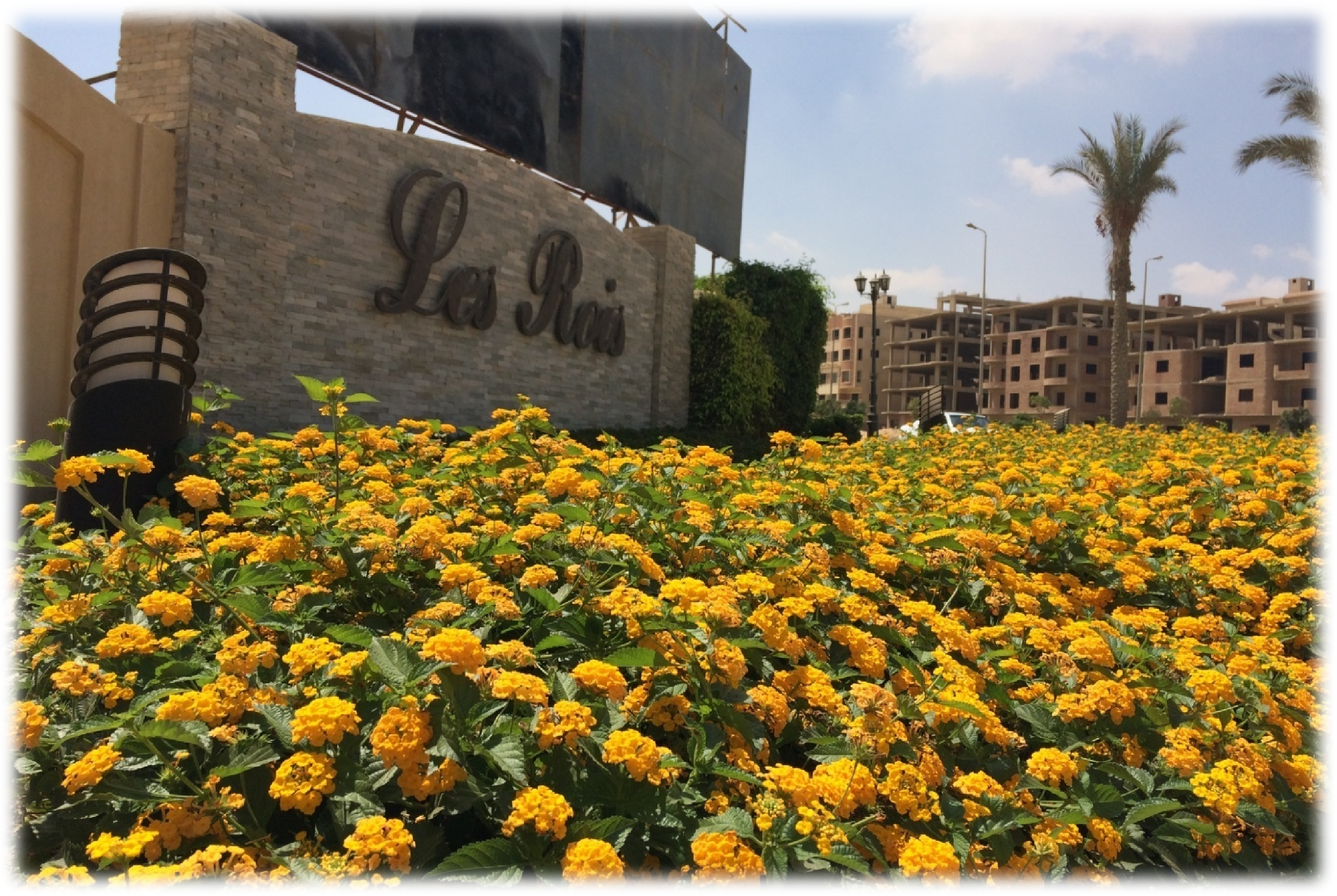 Uniagrico landscaping project